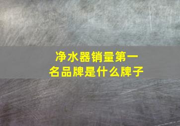 净水器销量第一名品牌是什么牌子