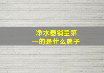 净水器销量第一的是什么牌子