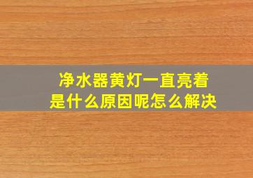 净水器黄灯一直亮着是什么原因呢怎么解决