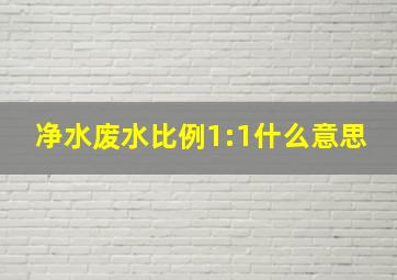 净水废水比例1:1什么意思