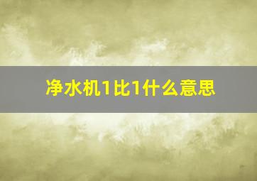 净水机1比1什么意思