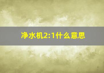 净水机2:1什么意思