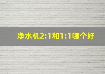 净水机2:1和1:1哪个好