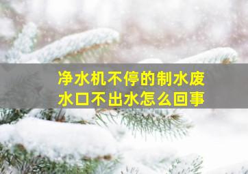 净水机不停的制水废水口不出水怎么回事