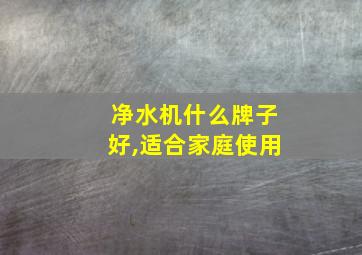 净水机什么牌子好,适合家庭使用