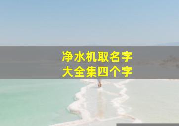 净水机取名字大全集四个字