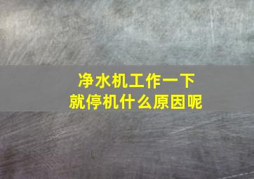 净水机工作一下就停机什么原因呢