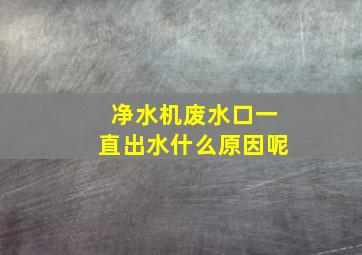 净水机废水口一直出水什么原因呢