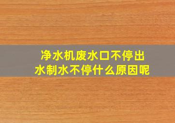 净水机废水口不停出水制水不停什么原因呢