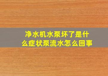 净水机水泵坏了是什么症状泵流水怎么回事