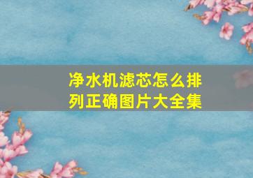 净水机滤芯怎么排列正确图片大全集