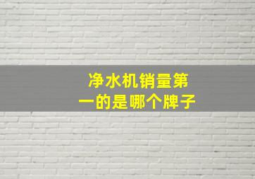 净水机销量第一的是哪个牌子