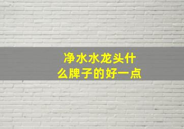 净水水龙头什么牌子的好一点