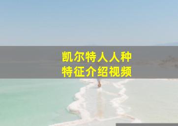 凯尔特人人种特征介绍视频