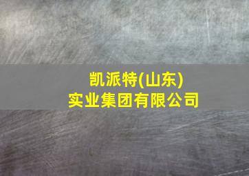 凯派特(山东)实业集团有限公司