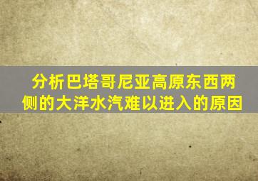 分析巴塔哥尼亚高原东西两侧的大洋水汽难以进入的原因