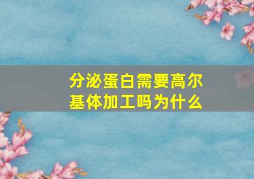 分泌蛋白需要高尔基体加工吗为什么