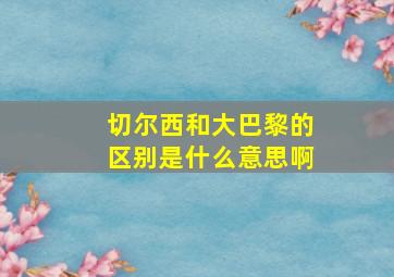 切尔西和大巴黎的区别是什么意思啊