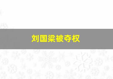 刘国梁被夺权