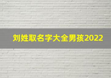 刘姓取名字大全男孩2022