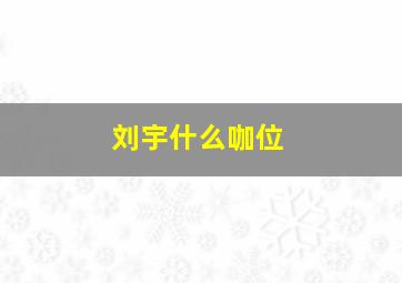 刘宇什么咖位