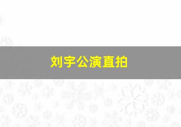 刘宇公演直拍