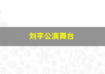 刘宇公演舞台