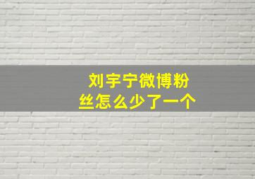 刘宇宁微博粉丝怎么少了一个