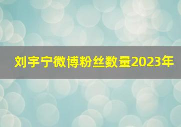 刘宇宁微博粉丝数量2023年