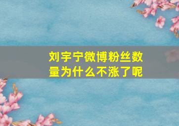 刘宇宁微博粉丝数量为什么不涨了呢