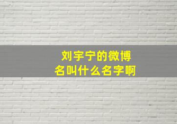 刘宇宁的微博名叫什么名字啊