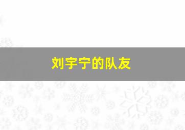 刘宇宁的队友