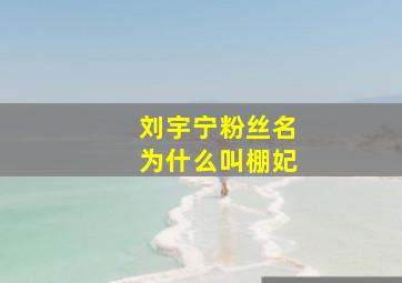 刘宇宁粉丝名为什么叫棚妃