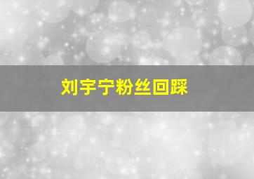 刘宇宁粉丝回踩