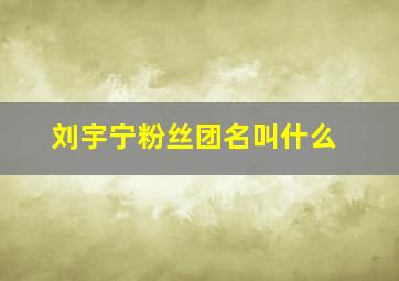 刘宇宁粉丝团名叫什么