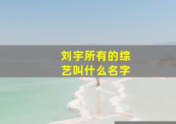 刘宇所有的综艺叫什么名字