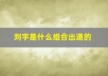 刘宇是什么组合出道的