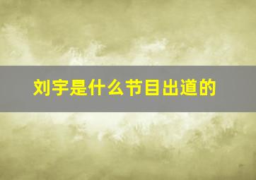 刘宇是什么节目出道的