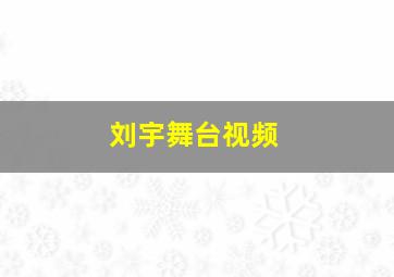 刘宇舞台视频