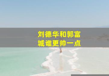 刘德华和郭富城谁更帅一点