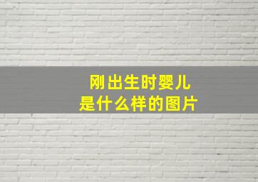 刚出生时婴儿是什么样的图片