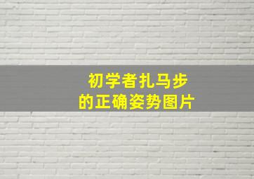 初学者扎马步的正确姿势图片