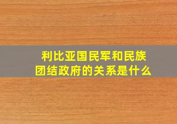 利比亚国民军和民族团结政府的关系是什么