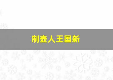 制壶人王国新