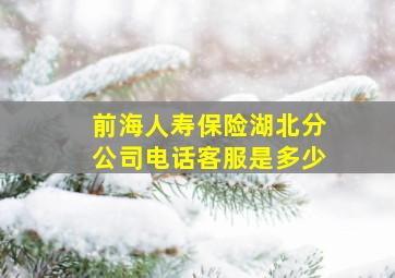 前海人寿保险湖北分公司电话客服是多少