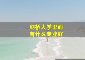 剑桥大学里面有什么专业好