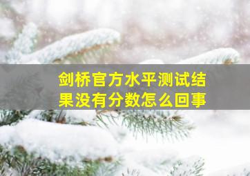 剑桥官方水平测试结果没有分数怎么回事