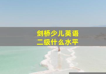 剑桥少儿英语二级什么水平