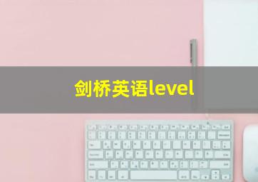 剑桥英语level