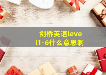 剑桥英语level1-6什么意思啊